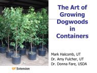 The Art of Growing Dogwoods in Containers - UT Extension