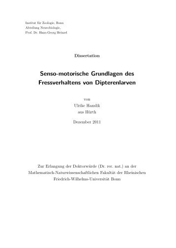 Senso-motorische Grundlagen des ... - Universität Ulm