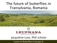 The future of butterflies in Transylvania, Romania - Vlindernet