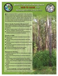 Quality Vegetation Management