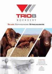 1 Journal 2012 Joernaal BRANGUS - The Brangus Cattle Breeders ...