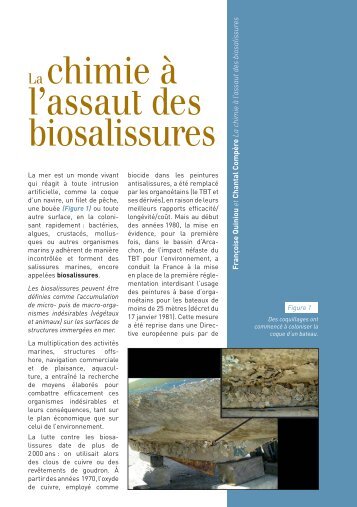 La chimie à l'assaut des biosalissures (PDF ... - Mediachimie.org