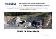 Problemática del túnel de Zumárraga