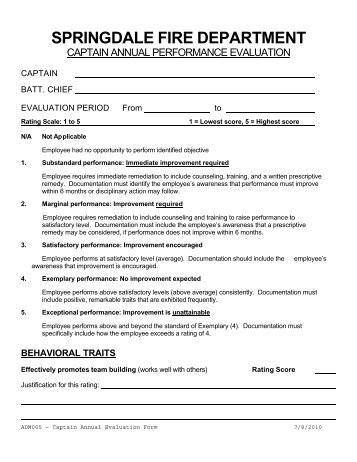 annual evaluation form