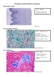 Principalele coloraÅ£ii utilizate Ã®n histologie