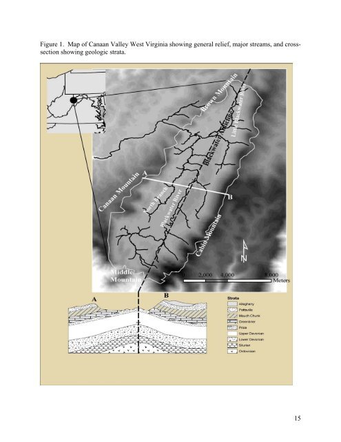 rare plant communities in canaan valley, west virginia