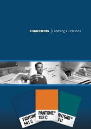 Download the Bridon Corporate Guidelines here
