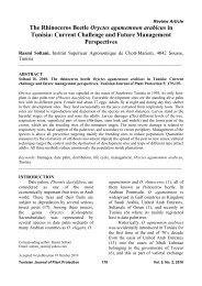 The Rhinoceros Beetle Oryctes agamemnon arabicus in ... - Iresa