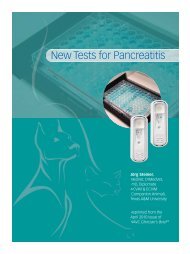 New Tests for Pancreatitis - IDEXX Laboratories