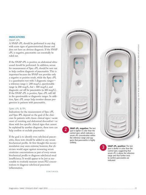 New Tests for Pancreatitis - IDEXX Laboratories