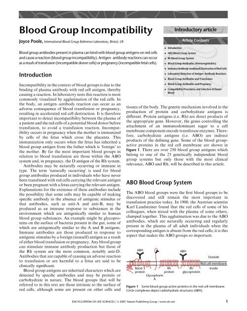 Blood group incompatibility.pdf