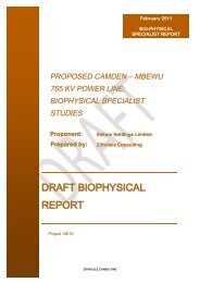 Appendix O2 - Biophysical Report.pdf - Zitholele.co.za