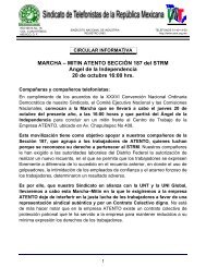 documento completo (PDF, version para imprimir) - STRM