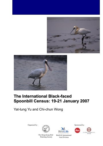 The International Black-faced Spoonbill Census: 19-21 January 2007