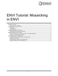 ENVI Mosaicking