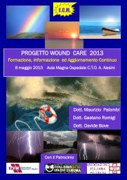 PROGETTO WOUND CARE 2013 - AIP
