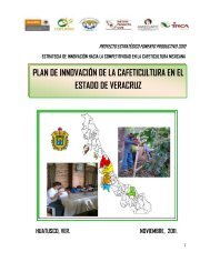 Plan de Innovación Veracruz - amecafé