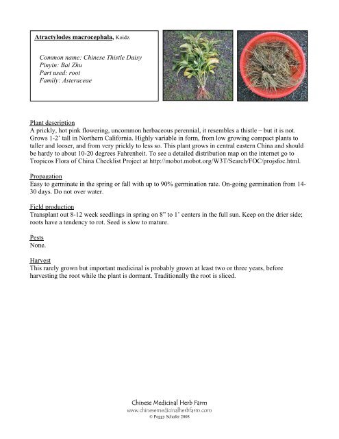 Common name: Korean Mint Pinyin: tu huo xiang Part used: Leaf ...