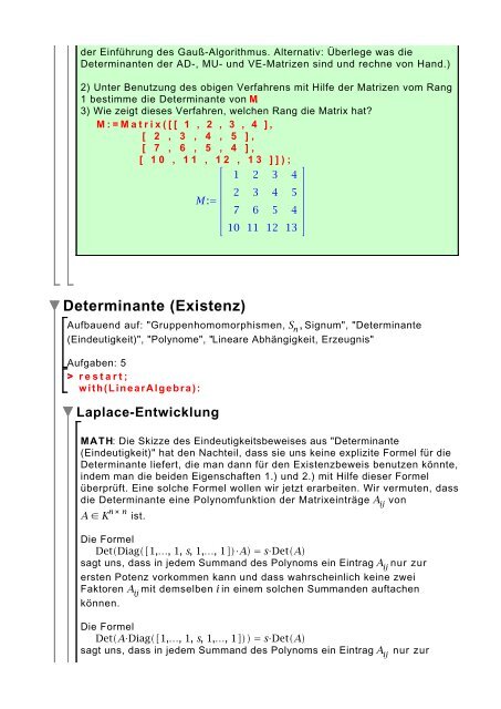 Determinante (Eindeutigkeit)