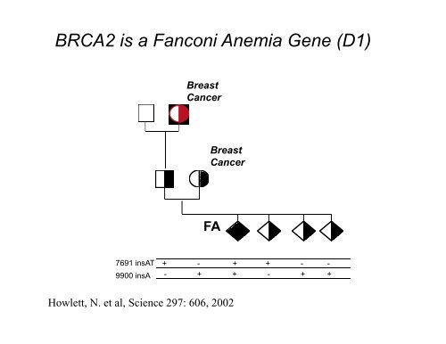 Fanconi Anemia: Diagnosis and Treatment