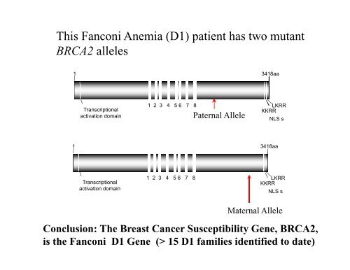 Fanconi Anemia: Diagnosis and Treatment