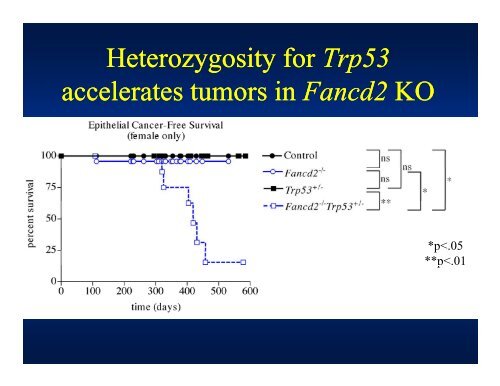 Fanconi Anemia: Diagnosis and Treatment