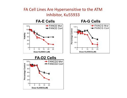 Fanconi Anemia: Diagnosis and Treatment