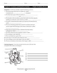 Chapter 37 Circulatory and Respiratory Systems Chapter ... - vanellism