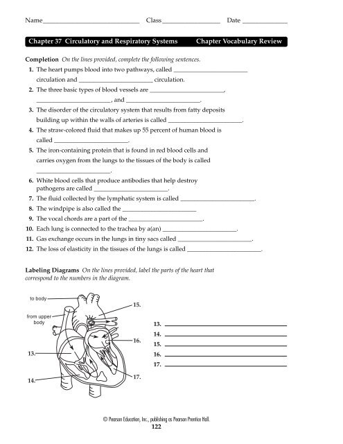 Chapter 37 Circulatory and Respiratory Systems Chapter ... - vanellism