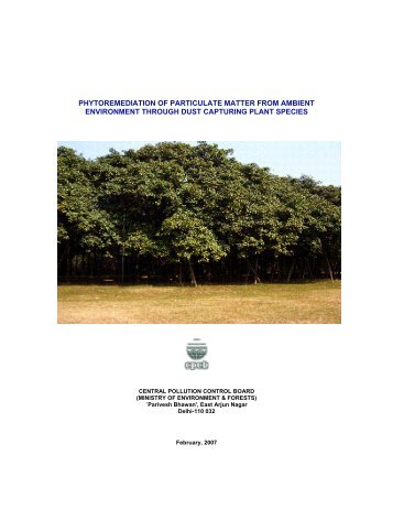 Phytoremediation Of Particulate Matter From Ambient Environment ...