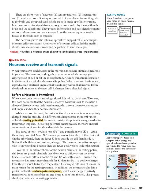 Nervous and Endocrine Systems