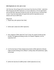 DNA Replication (in vitro and in vivo)