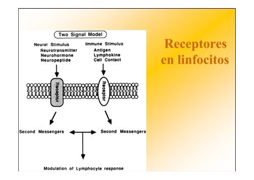 PNIE - ClÃ­nica de GastroenterologÃ­a. - Hospital de ClÃ­nicas