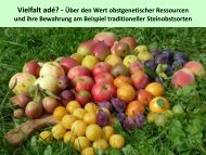 Vortrag Fr. Dr. Braun-Luellemann - Obstnatur