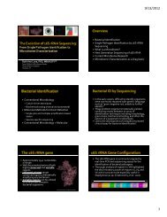 Bacterial Identification Single Pathogen Identification by 16S rRNA ...