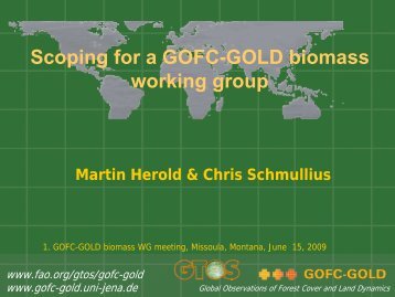 Scoping for a GOFC-GOLD biomass working group Martin Herold ...