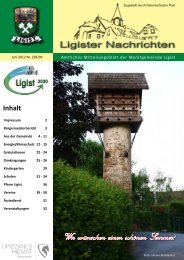 Frau kennenlernen ligist kurse fr singles in oberpullendorf. Wo treffen sich singles aus mitterdorf an der raab. Kematen an der krems frauen treffen. Ligist kurse fr singles, Seri se partnervermittlung aus giehbl