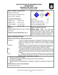 HDST Detia Gas - EX - T.pdf - degesch - chile
