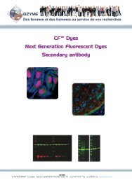 CFâ¢ Dyes Next Generation Fluorescent Dyes Secondary ... - Ozyme