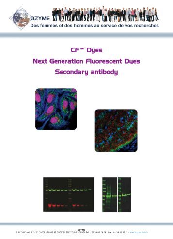 CFâ¢ Dyes Next Generation Fluorescent Dyes Secondary ... - Ozyme