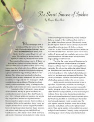 The Secret Success of Spiders - Kiawah Conservancy