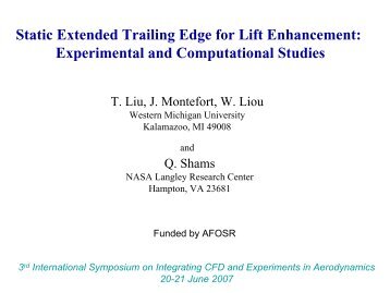 Static Extended Trailing Edge for Lift Enhancement ... - CFD4Aircraft