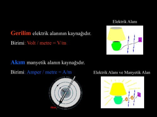 50 Hertz FrekanslÄ± Elektromanyetik AlanlarÄ±n Etkileri Prof. Dr. Ãzcan ...