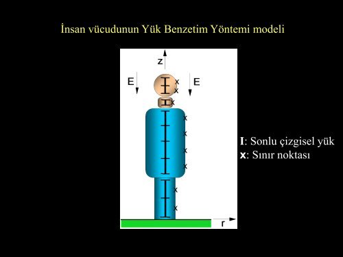 50 Hertz FrekanslÄ± Elektromanyetik AlanlarÄ±n Etkileri Prof. Dr. Ãzcan ...