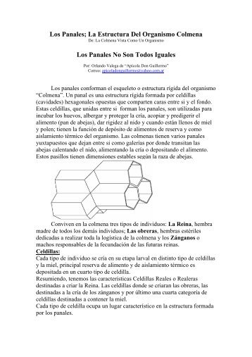Los Panales; La Estructura Del Organismo Colmena Los Panales ...