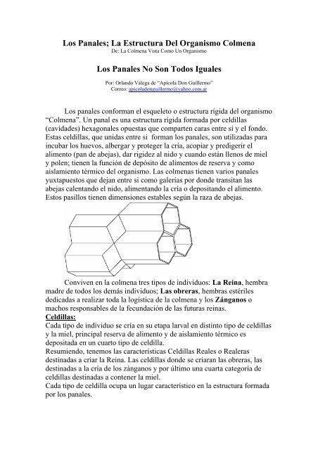 Los Panales; La Estructura Del Organismo Colmena Los Panales ...