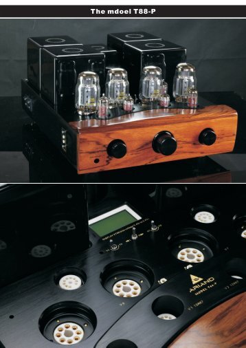 The mdoel T88-P - audio alchemy