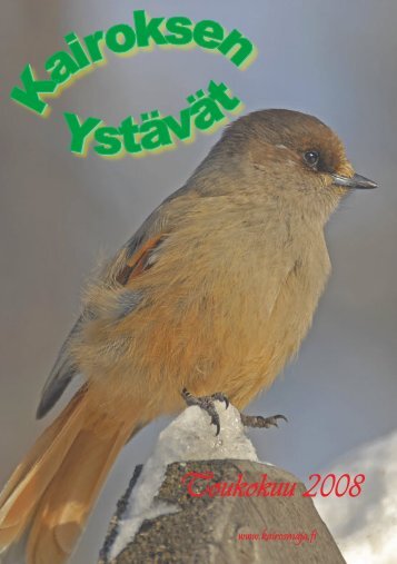 Kairoksen Ystävät Huhtikuu 2008 - Verkkoviestin