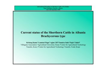 Current status of the Shorthorn Cattle in Albania Brachycerous type