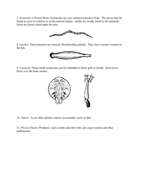 Angler's Guide to Fish Diseases and Parasites - University of Georgia